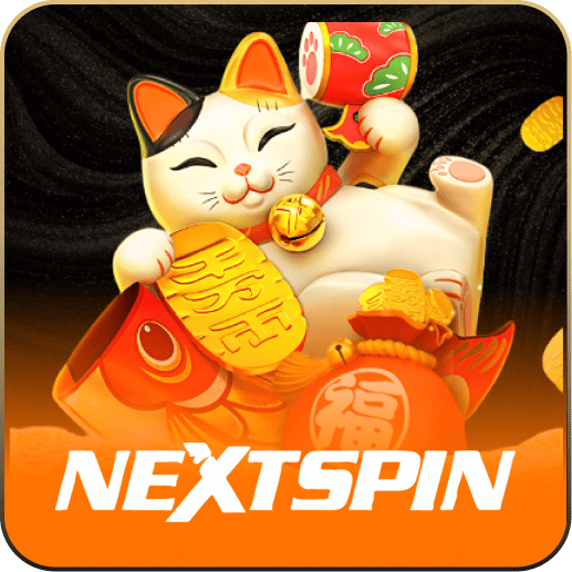 NextSpin